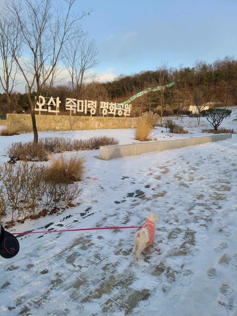 드라마 써치 인물관계도 등장인물 몇부작 줄거리 뜻 : 네이버 블로그, image size:800x1067