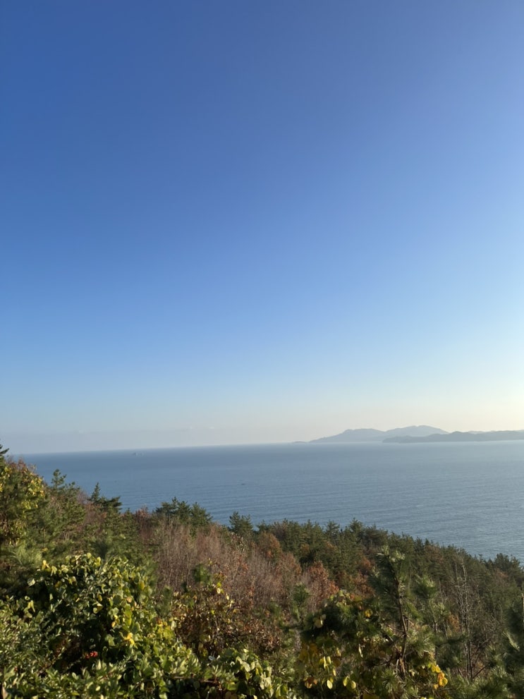  세무기장대리 거래처 국민연금, 건강보험, 세금 줄이기