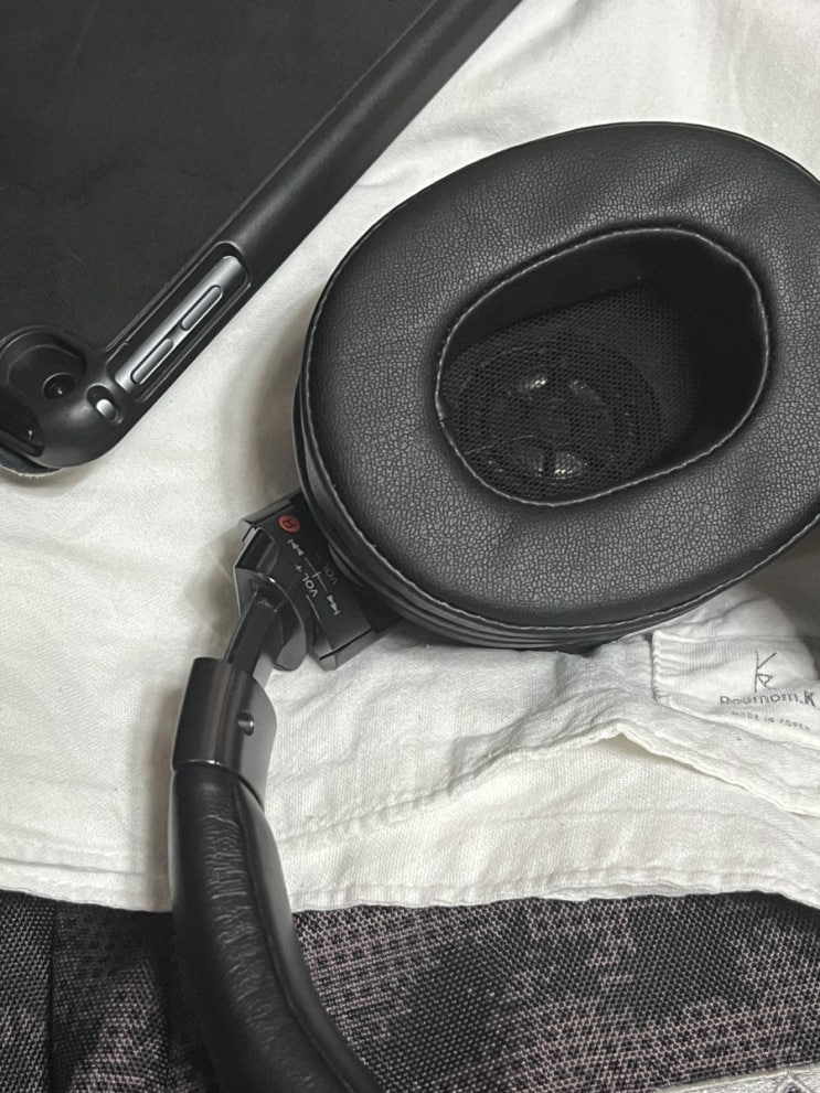 격리생활/ 아빠랑 강아지랑, 튀르키예 지진 콩<b>기부</b>, <b>생일</b>, 웹툰