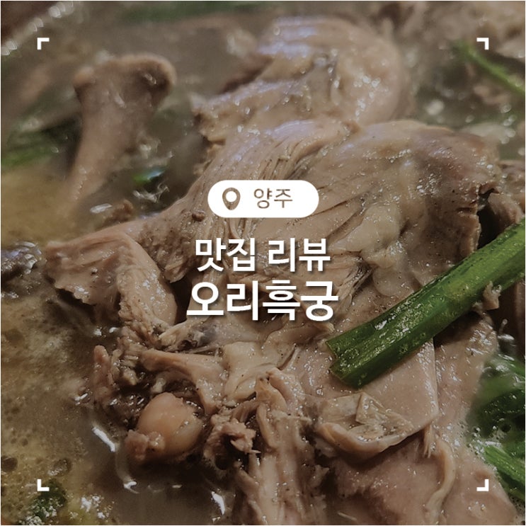  광사동 맛집 양주 오리 능이 오리백숙 오리흑궁