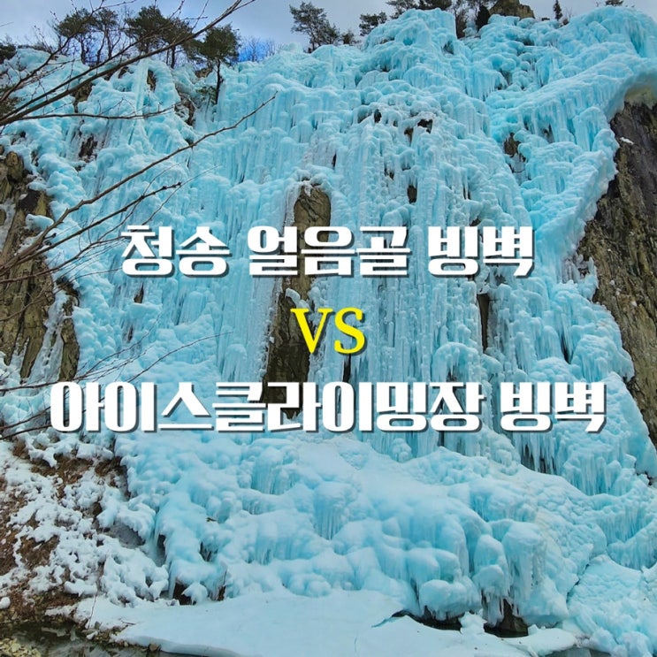 청송 얼음골 계곡 vs 아이스클라이밍 경기장 빙벽 2곳 비교