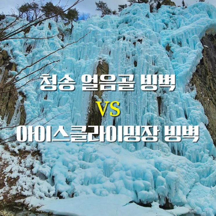  청송 얼음골 계곡 vs 아이스클라이밍 경기장 빙벽 2곳 비교