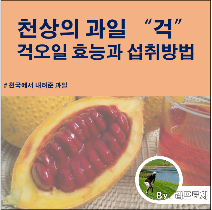  천상의 열매 '걱'_걱오일 효능과 섭취방법