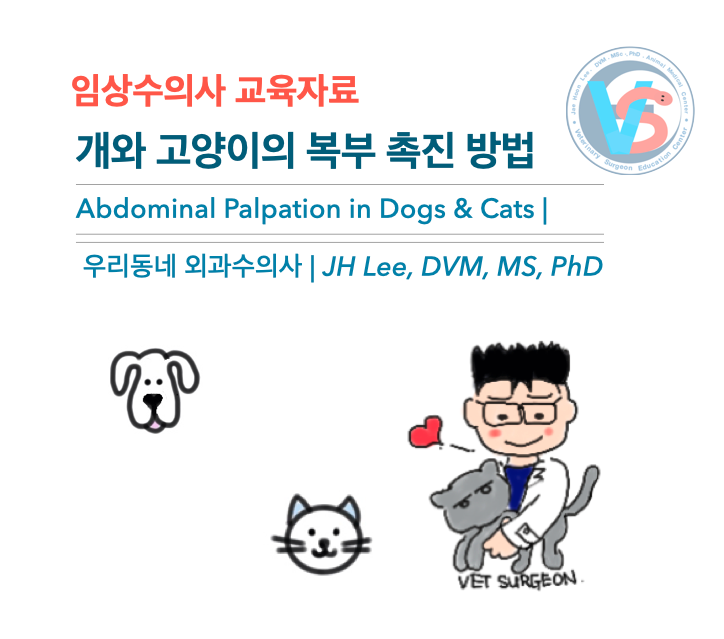  개와 고양이의 복부 촉진 방법 (우리동네 외과수의사)