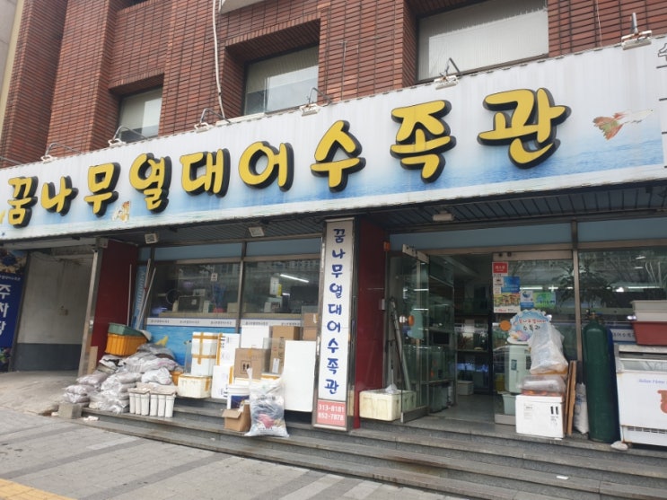  꿈나무 열대어 수족관