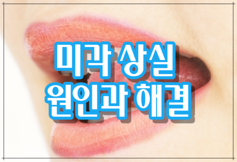 미각 상실 원인과 해결