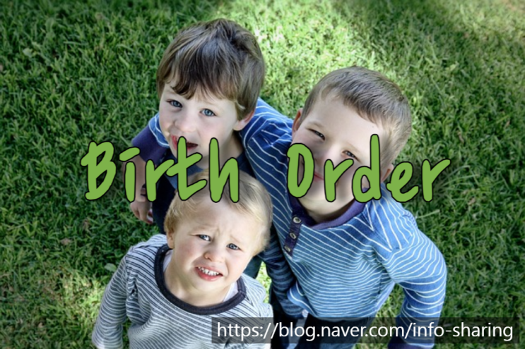 출생 순서(Birth Order) - 영어독해, 영어해석