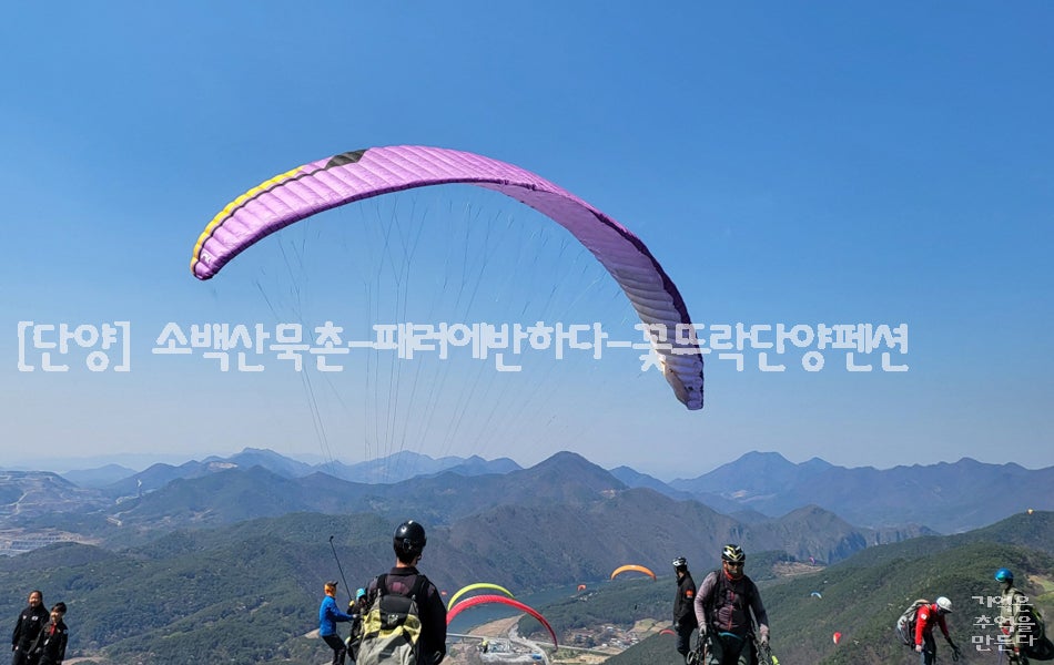 꽃뜨락단양펜션 사진 1