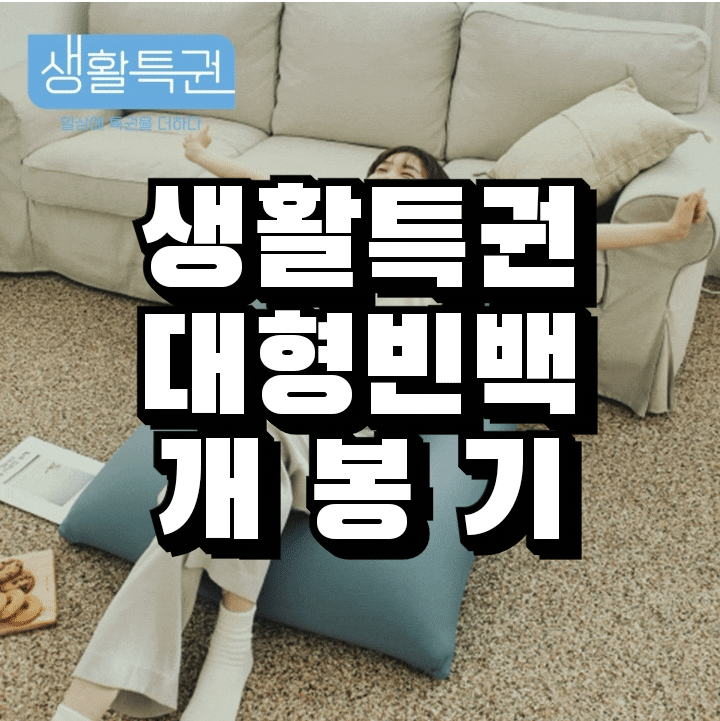  홈 인테리어 생활특권 대형 빈백 너무 편해