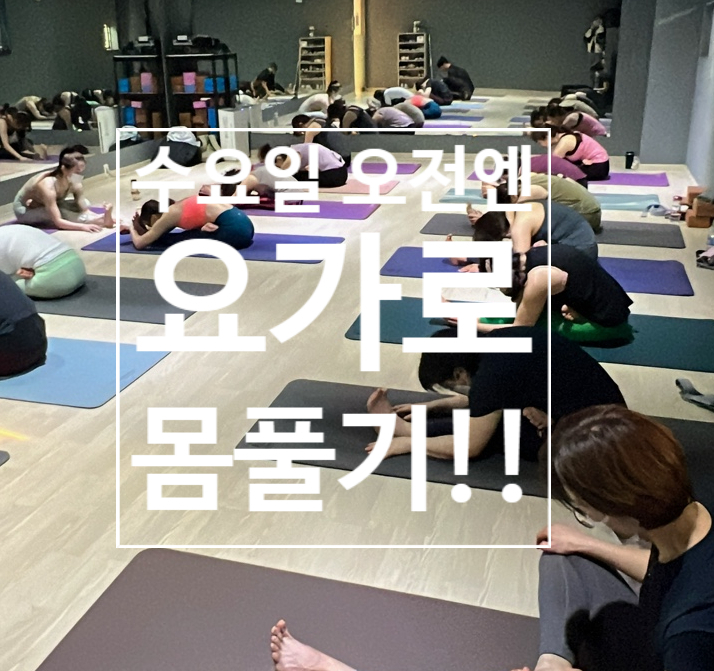  [탄현 헬스장][탄현동 헬스장][탄현 pt] 수요일엔 요가로 몸풀기 !