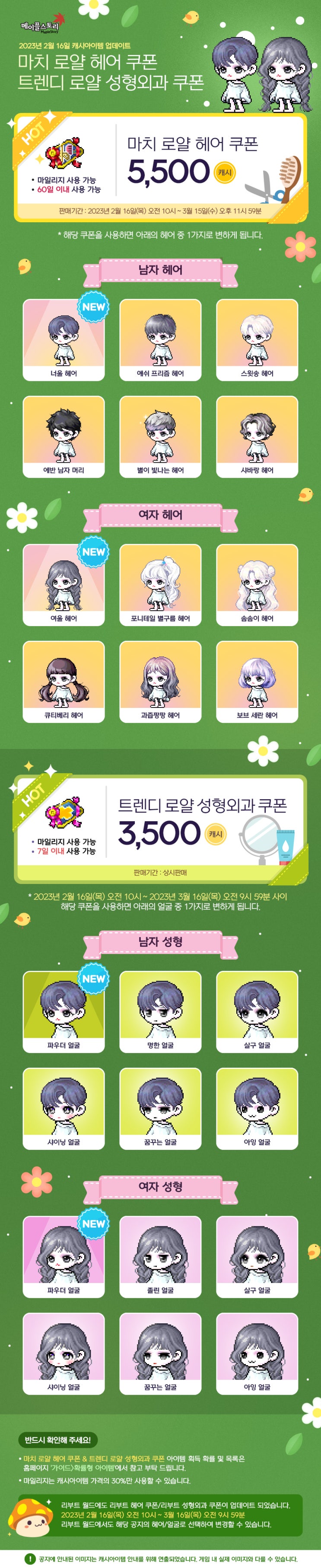 2월 16일 캐시아이템 업데이트 - 로얄 헤어&성형외과 쿠폰