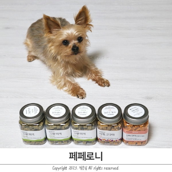 노령견 간식 페페로니 강아지 오메가3 추천 노령견 간식 페페로니 강아지 오메가3 추천