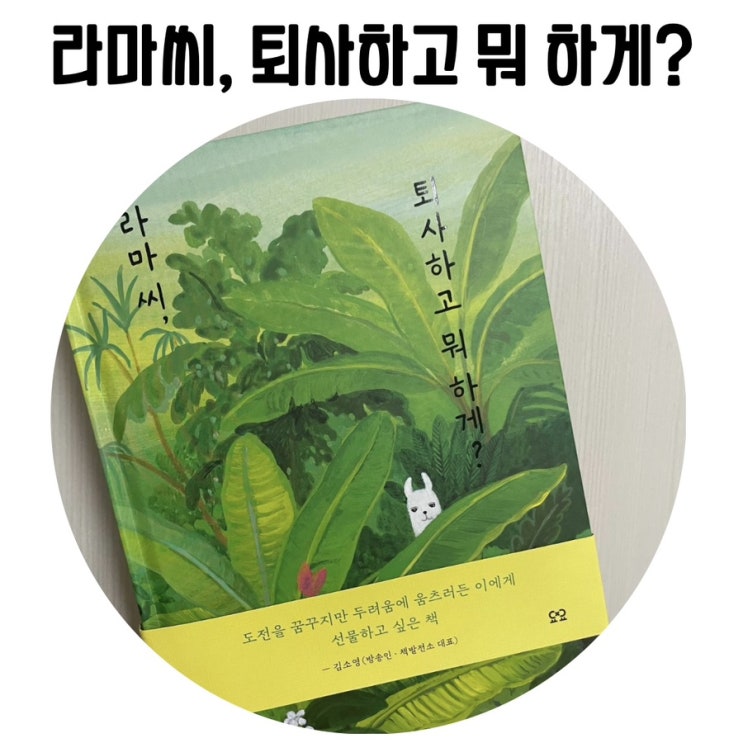 [그림책 추천] 라마씨, 퇴사하고 뭐 하게?