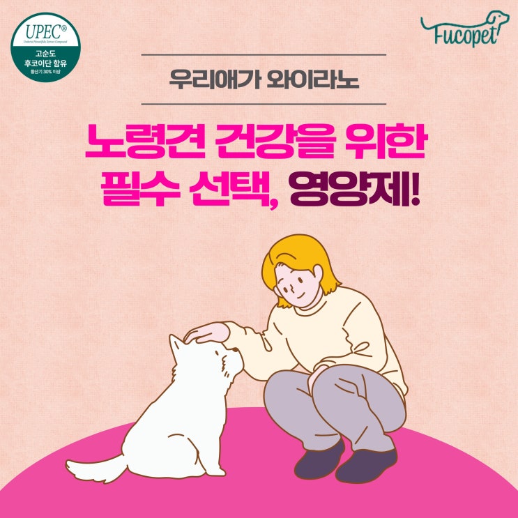  노령견 필수 영양제 추천 급여시 주의사항