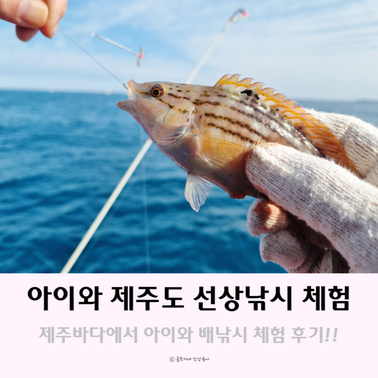 제주도 선상낚시 : 이호 배낚시타고 아이랑 제주 바다에서 쏨뱅이 잡은 체험기 제주도 선상낚시 : 이호 배낚시타고 아이랑 제주 바다에서 쏨뱅이 잡은 체험기