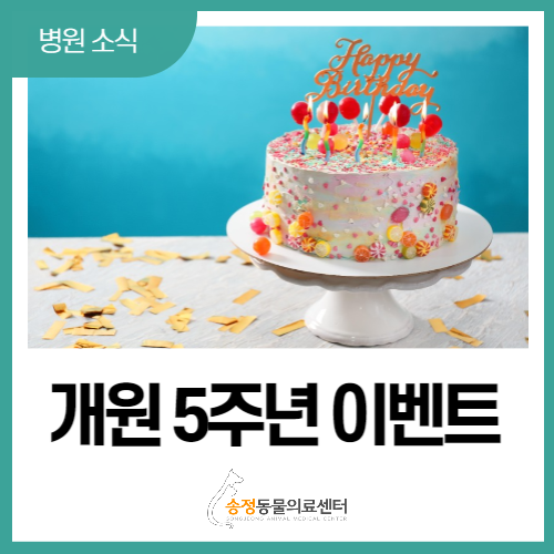  경기광주 연중무휴 송정동물의료센터 개원 5주년 기념 이벤트(3월, 딱 1달만 진행)