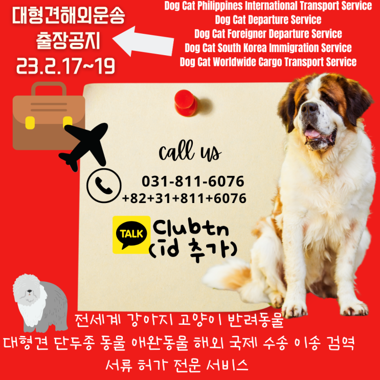  대형견 강아지 고양이 단두종 출국 국제 해외 운송 수송 이송 검역 동물허가서류 [출장공지]