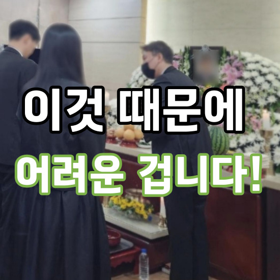  일산동국대병원장례식장 이제는 후불상조에서 정찰제로 일산승화원까지.