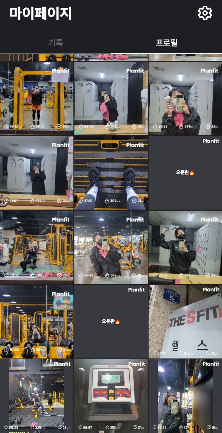  [내돈내산]헬린이의 헬스루틴 담당 '플랫핏' 프리미엄 솔직 후기