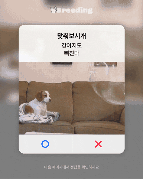 강아지도 사람처럼 삐질까? #강아지 #강아지 심리 #강아지삐짐 강아지도 사람처럼 삐질까? #강아지 #강아지 심리 #강아지삐짐
