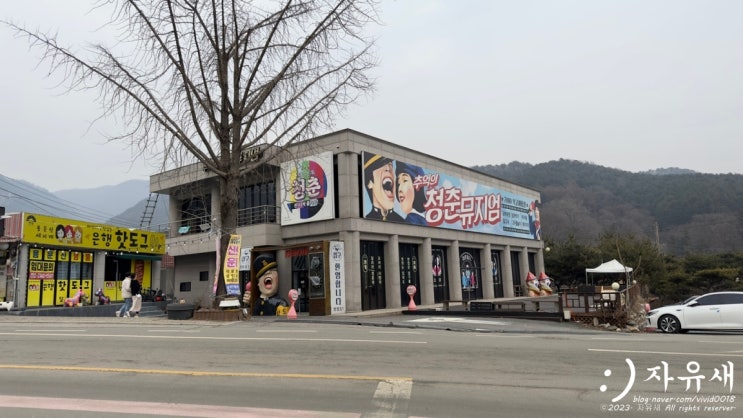  양평 청춘뮤지엄 실내 데이트 코스로 가볼만한곳