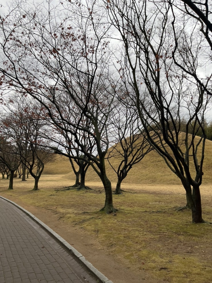  VOCs에 대해 알아보자