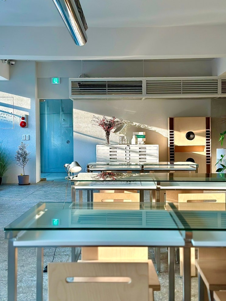  수유 애견 동반 카페 : 낮에는 카페인 저녁엔 알콜 티틸 CAFE+BAR