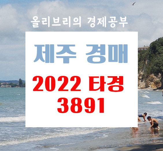  제주 경매1계 2022 타경 3891 [아파트]