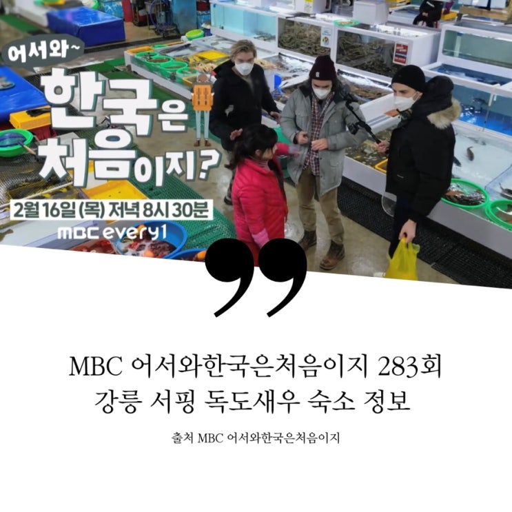  어서와 한국은처음이지 캐나다 세친구 강원도 강릉 겨울서핑 서핑샵 경포대 주문진항 수산시장 횟집식당 주문진 오션뷰S호텔 독도새우 해산물 문어숙회 경포해변 숙소 치킨집 283회 촬영지