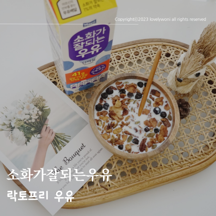  소화가 잘되는 우유 단백질, 우유안부 전해요