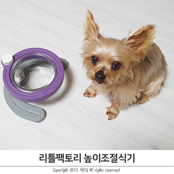 강아지식기 소형견 높이조절식기 리틀팩토리 강아지식기 소형견 높이조절식기 리틀팩토리