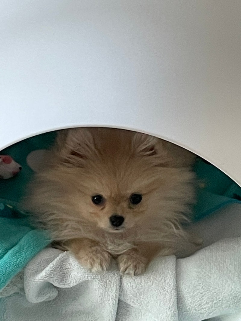 사진 4
