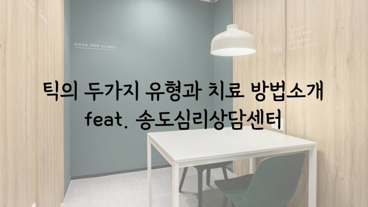 틱의 두가지 유형과 치료 방법소개 feat. 송도심리상담센터