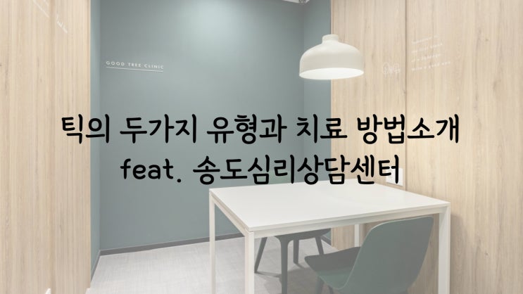 틱의 두가지 유형과 치료 방법소개 feat. 송도심리상담센터 틱의 두가지 유형과 치료 방법소개 feat. 송도심리상담센터