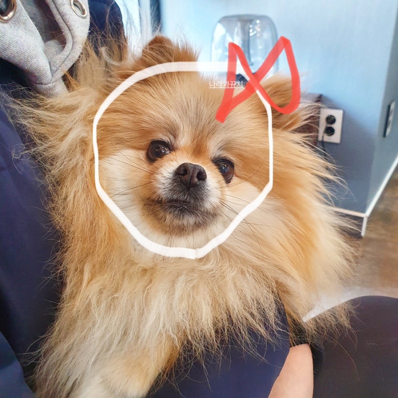 사진 2