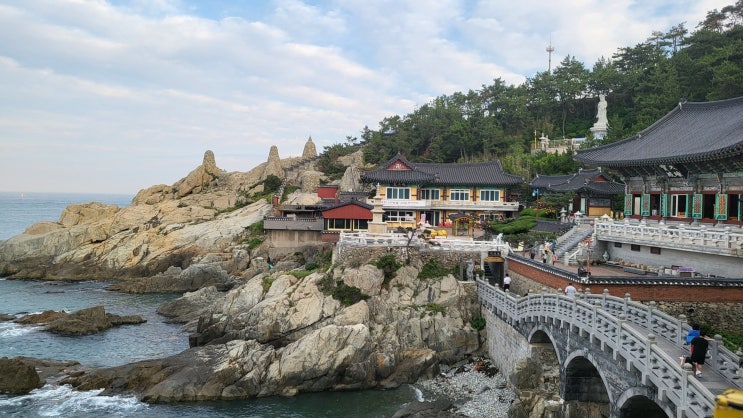  해변 사찰 해동용궁사: 소원을 말해봐~