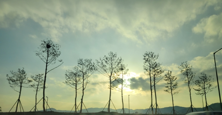 늦겨울 풍경 2023. 02. 16 목요일