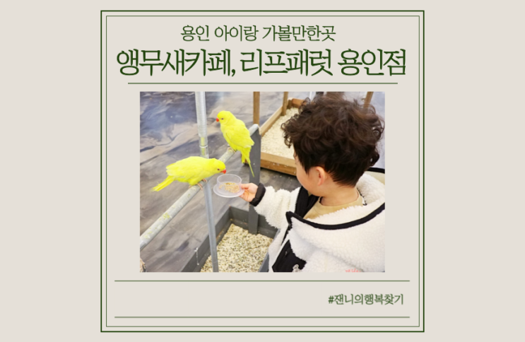  [용인카페] 용인 아이랑 가볼만한곳, 처인구 앵무새카페에서 주말 순삭