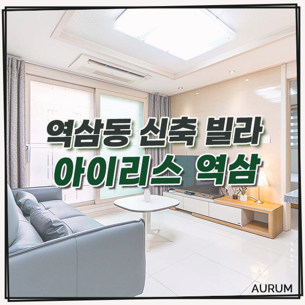  역삼동 고급빌라, 선릉역 근처에서 투룸 단기임대를 구하신다면 아이리스 역삼을 구경해 보세요!