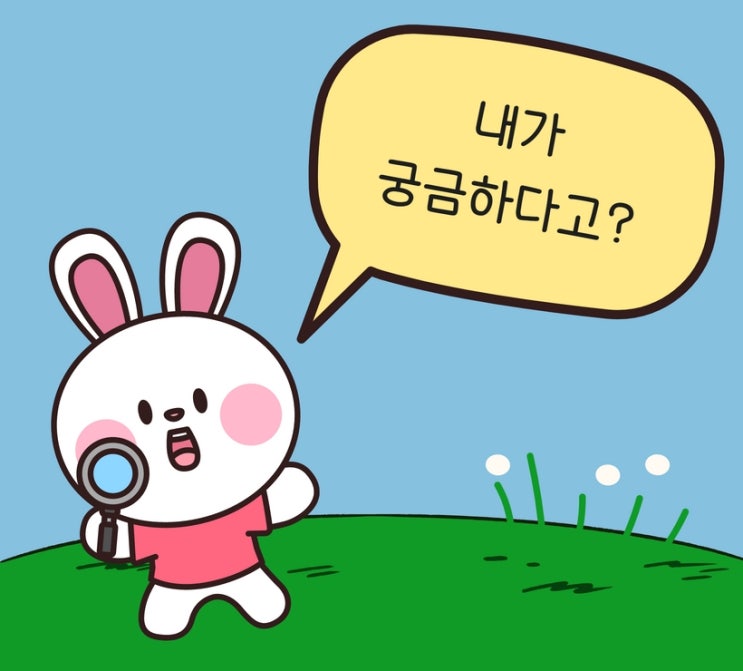  토끼의 해? 반려 토끼 키우기 전 꼭 고려해야할 것