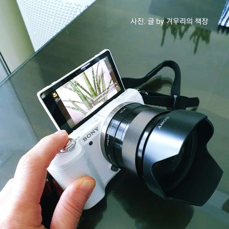 블로그용 카메라 소니 a5100 미러리스 카메라 + sel35f18 카페렌즈