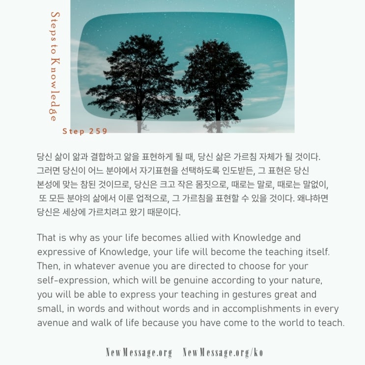 제259계단 : 나는 가르치려고 세상에 왔다 I have come to teach in the world. 제259계단 : 나는 가르치려고 세상에 왔다 I have come to teach in the world.