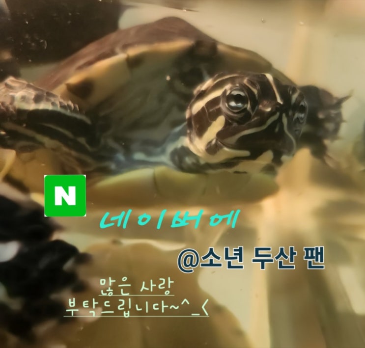 7편 <b>김하성</b> 포스팅 (3B, 2B, SS 3루수, 2루수, 유격수 전 넥센... 