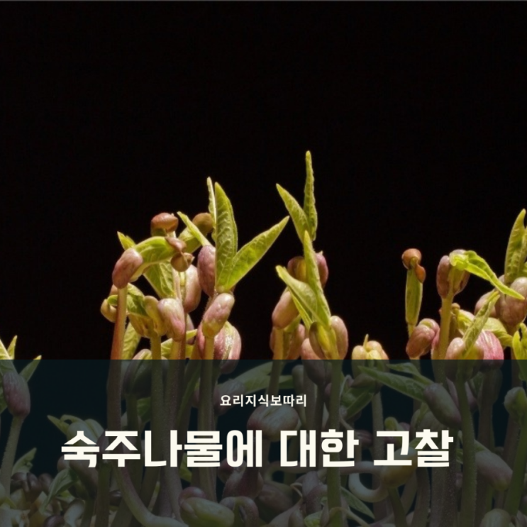 숙주나물의 유래와 효능, 활용 방법에 관한 이야기 숙주나물의 유래와 효능, 활용 방법에 관한 이야기