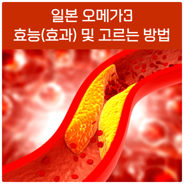 일본오메가3 효능 및 고르는 방법이란?