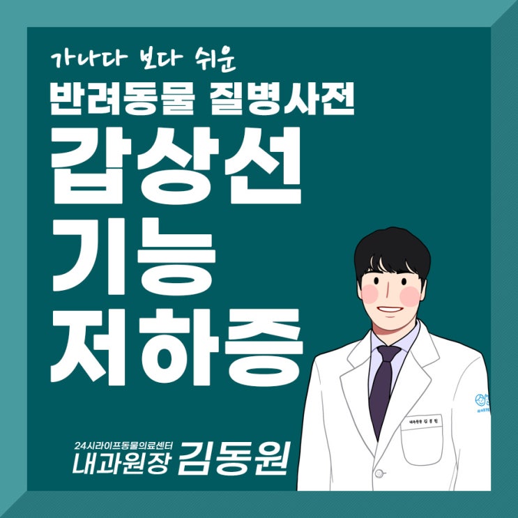 강아지 기운없음 혹시 갑상선기능저하증일까요? 대구24시동물병원 갑상선기능저하증 알아보기