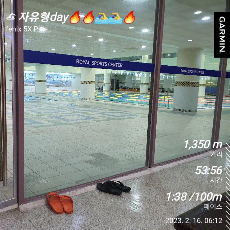  [수영일기] 2월 16일 상급반 1번 확정?