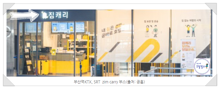  짐캐리는 부산 필수죠