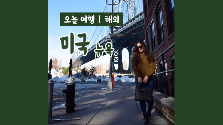 2주 미국 자유여행 : 뉴욕 브루클린 브릿지부터 시내 구석구석 2주 미국 자유여행 : 뉴욕 브루클린 브릿지부터 시내 구석구석