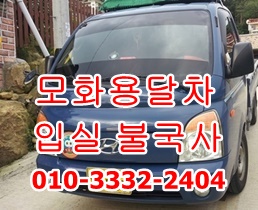 입실 외동 모화용달 불국사 보문 양남 정자 용달이사. 입실 외동 모화용달 불국사 보문 양남 정자 용달이사.